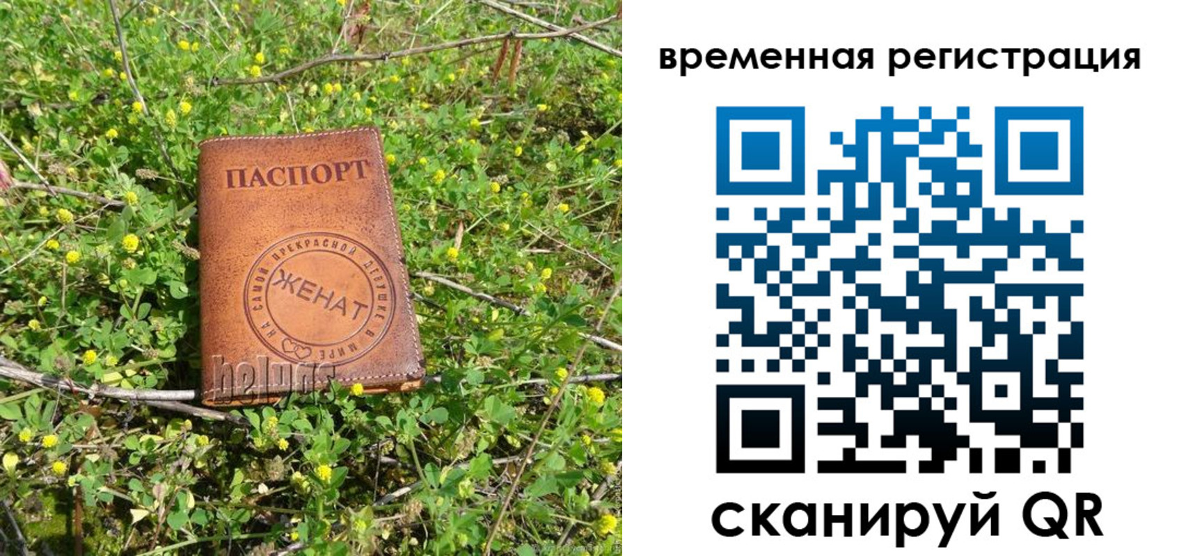 прописка регистрация в Полярных Зорях